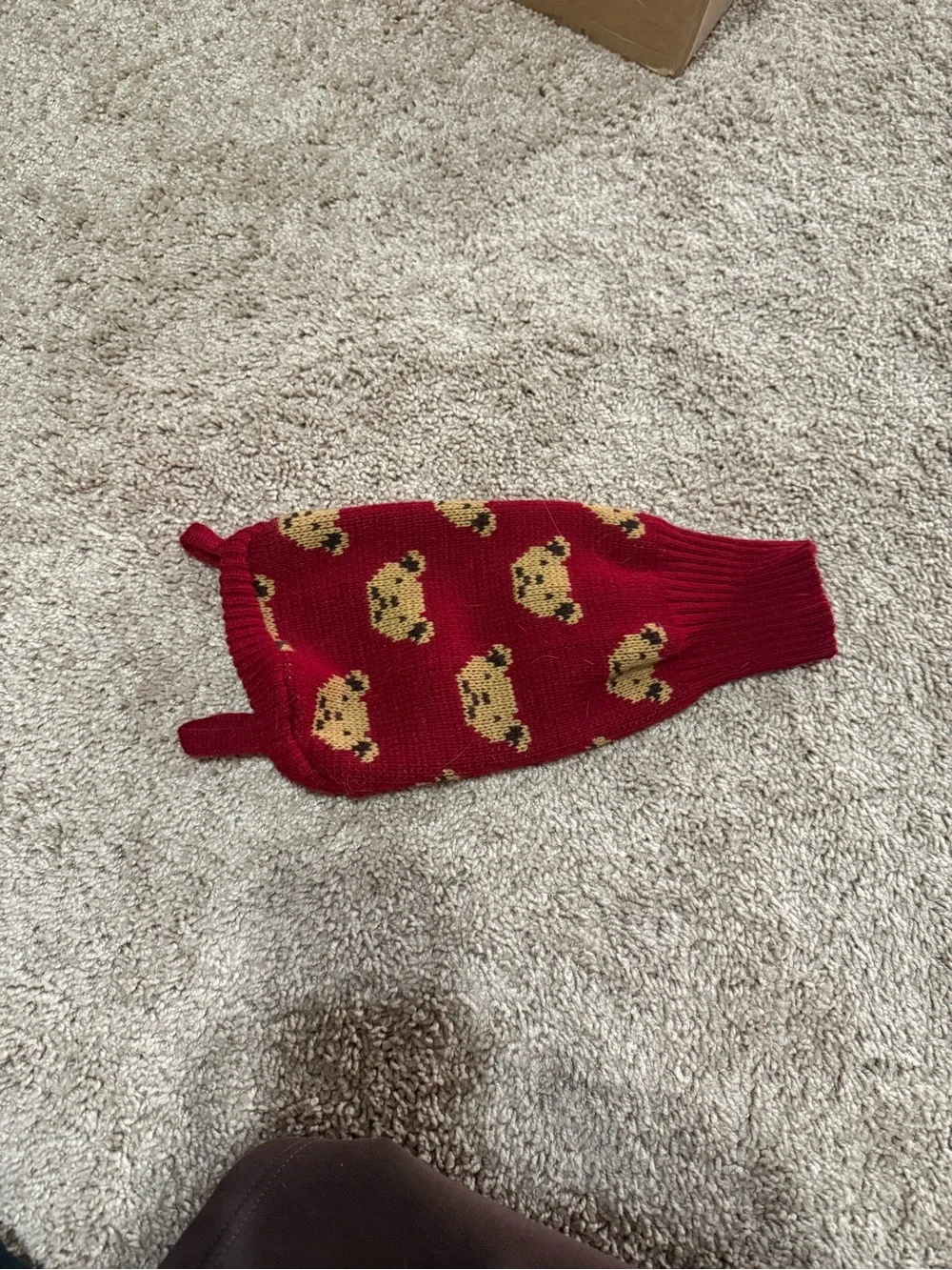 Cat Sweater in Burgundy with Bear Pattern